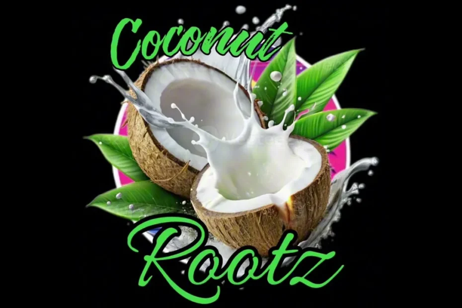 Coconut Rootz Too much download free music